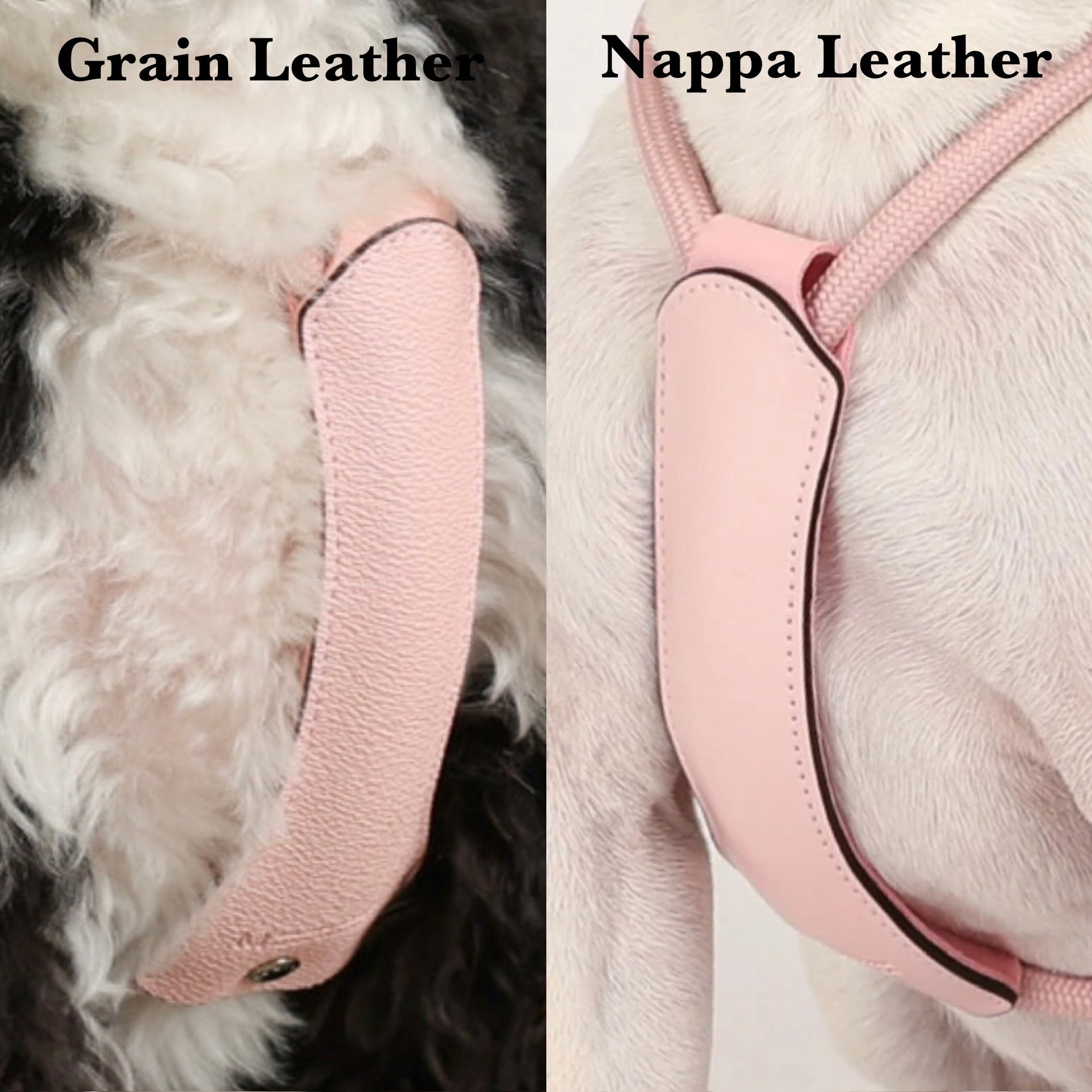 Essential Harness_PINK