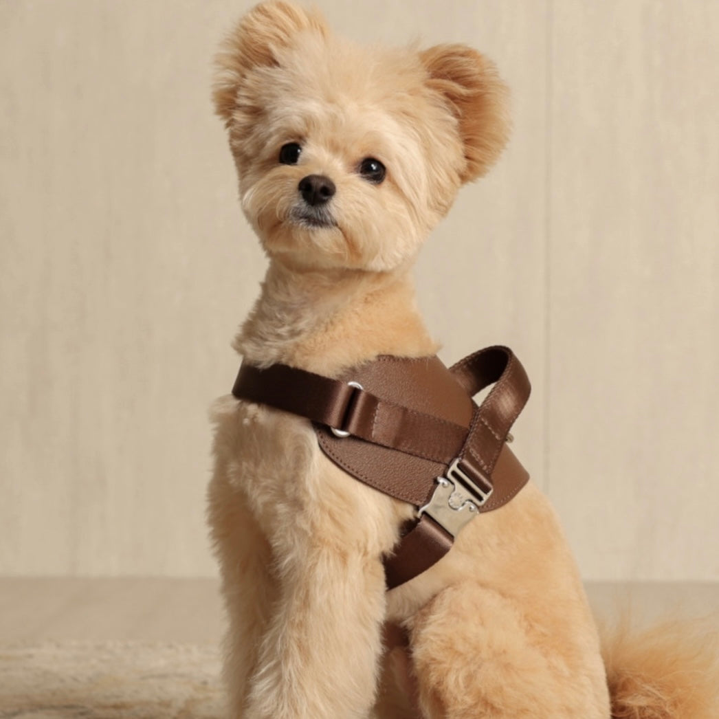 Saddle Harness_MOCHA