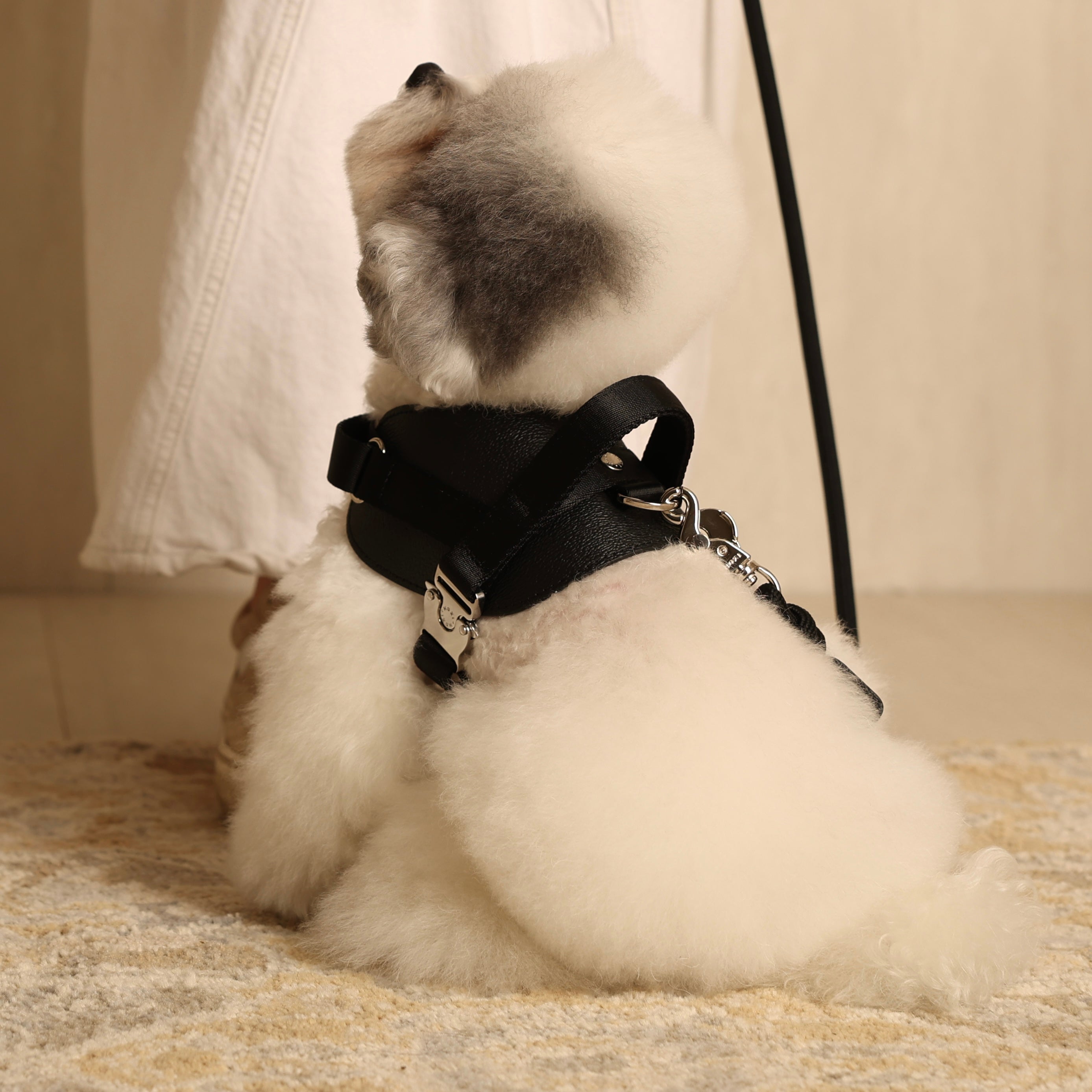 Saddle Harness_BLACK