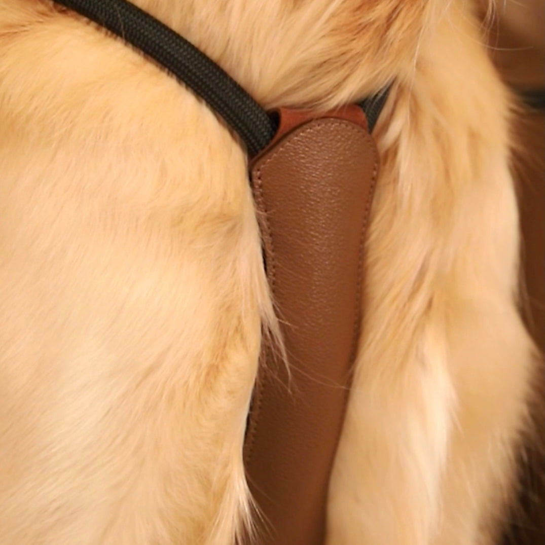 Essential Harness_DEEP GREEN