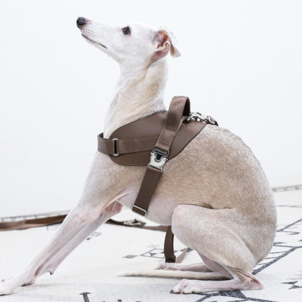 Saddle Harness_MOCHA