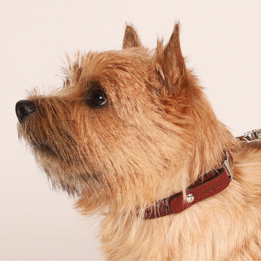 Saddle Strap_BURGUNDY