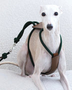 Essential Harness DEEP GREEN