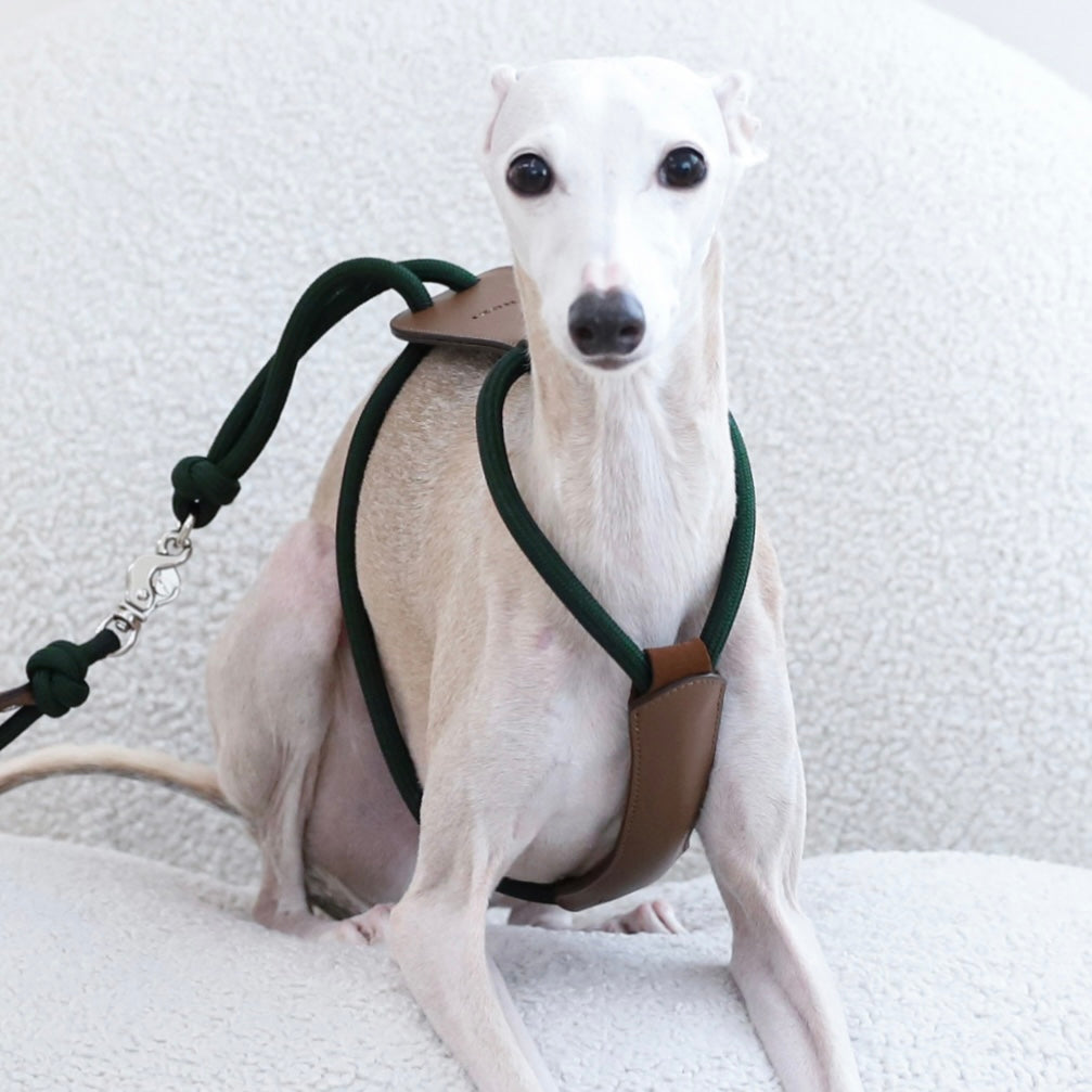 Essential Harness_DEEP GREEN