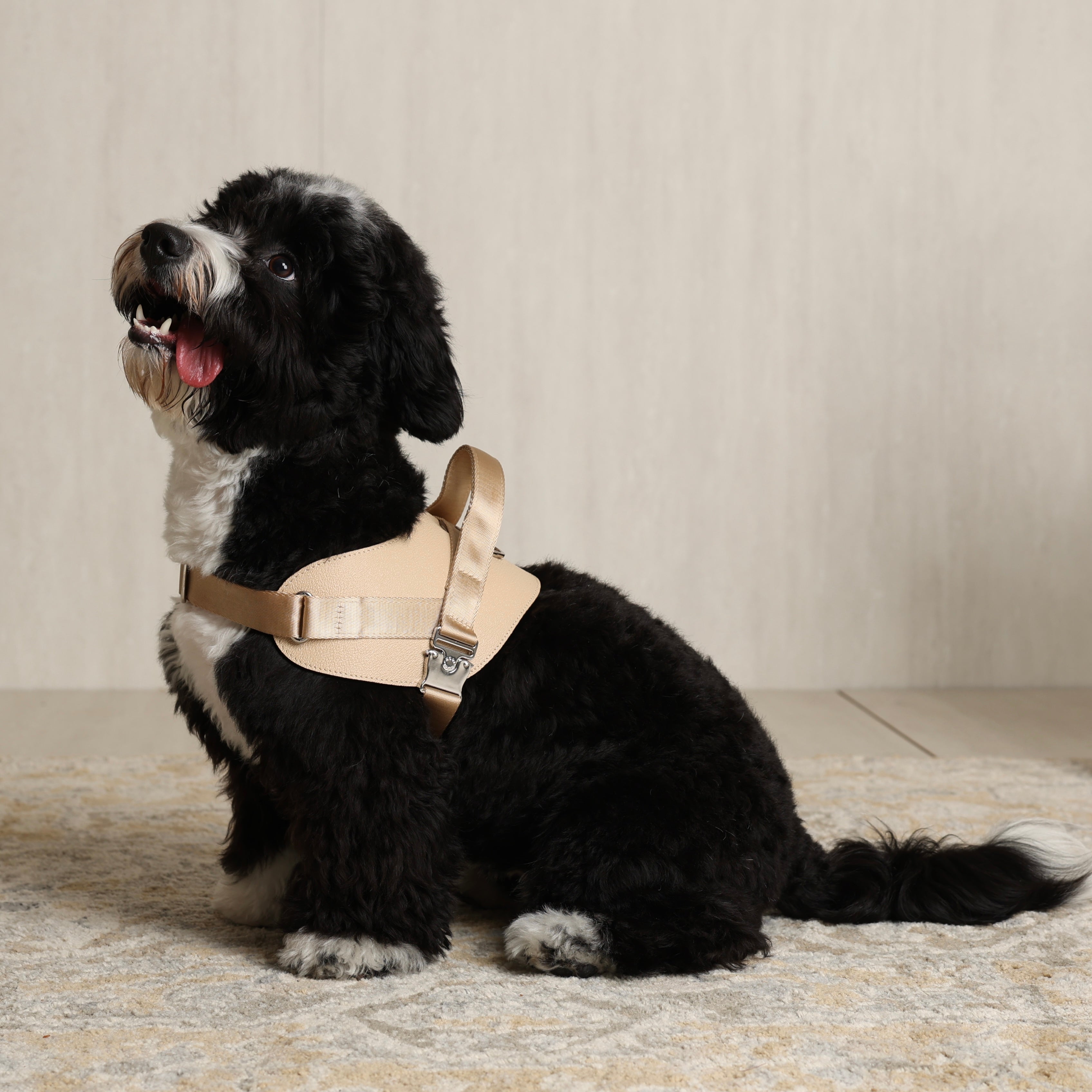 Saddle Harness_BEIGE