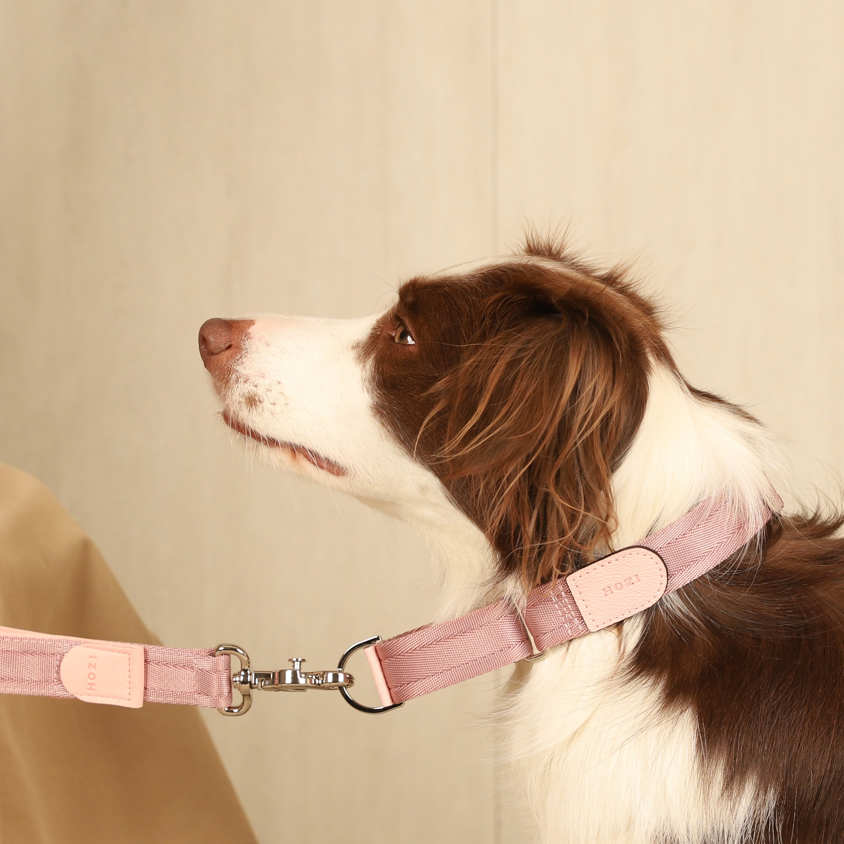 Martingale_PINK
