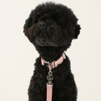 Buckle Strap_PINK