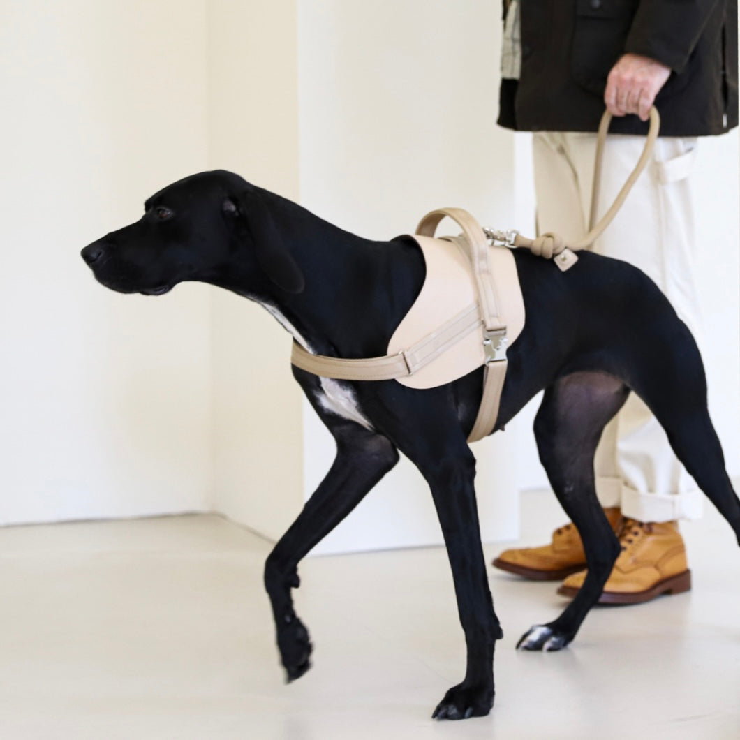Saddle Harness_BEIGE
