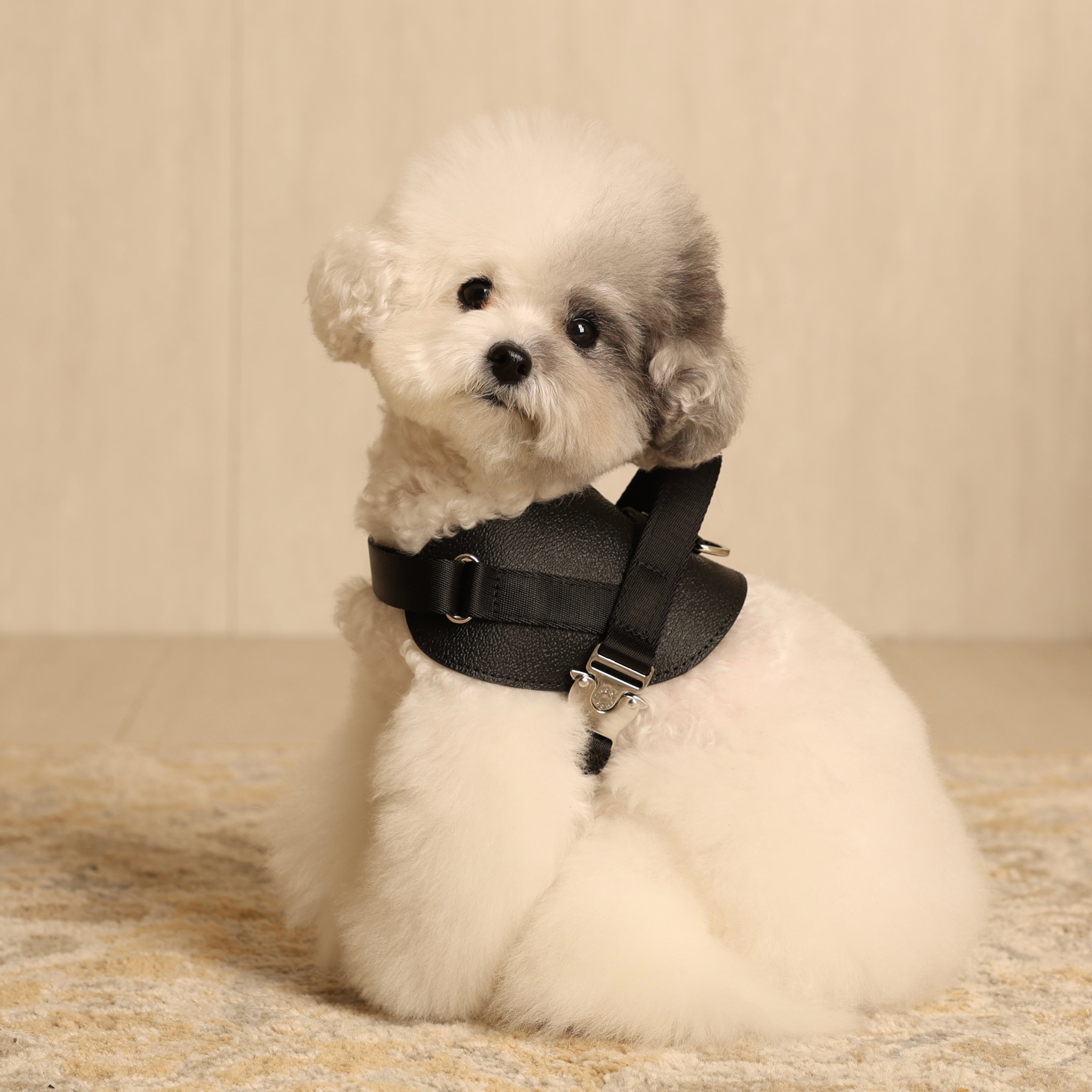 Saddle Harness_BLACK
