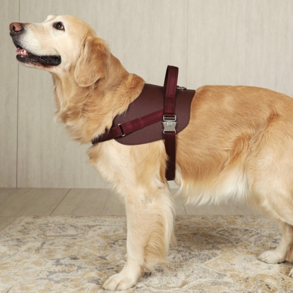 Saddle Harness_BURGUNDY