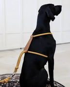 Essential Harness MUSTARD