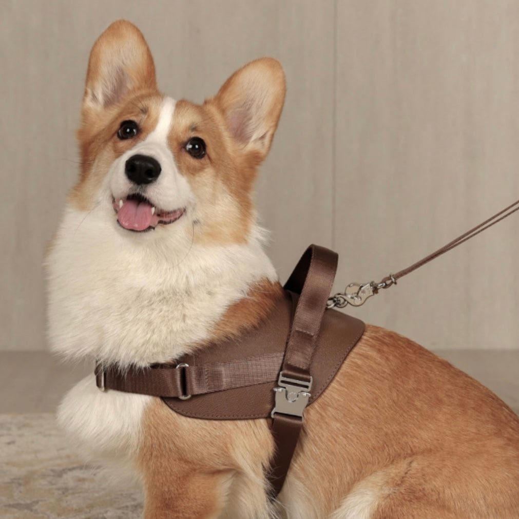 Saddle Harness_MOCHA