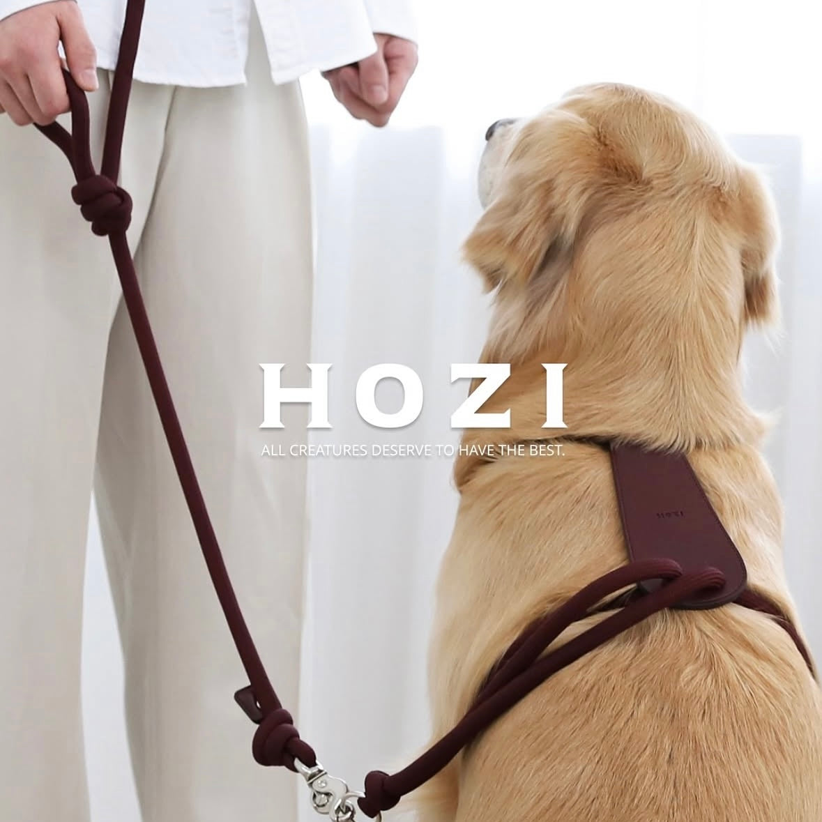 Essential Harness_BURGUNDY