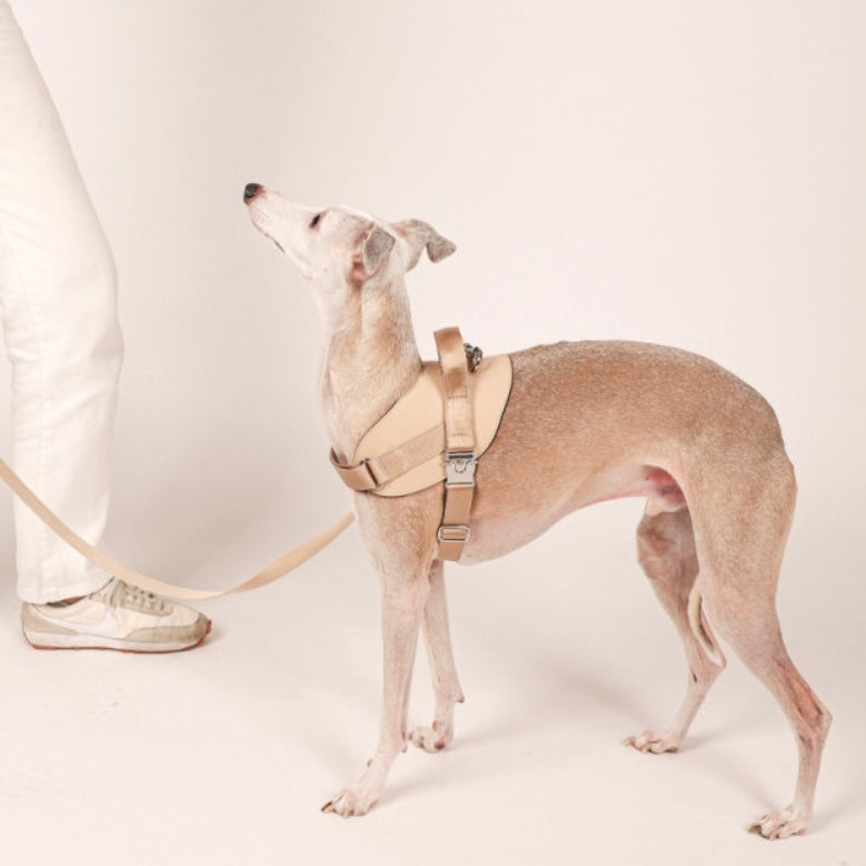 Saddle Harness_BEIGE