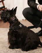 Horsebit Harness BLACK