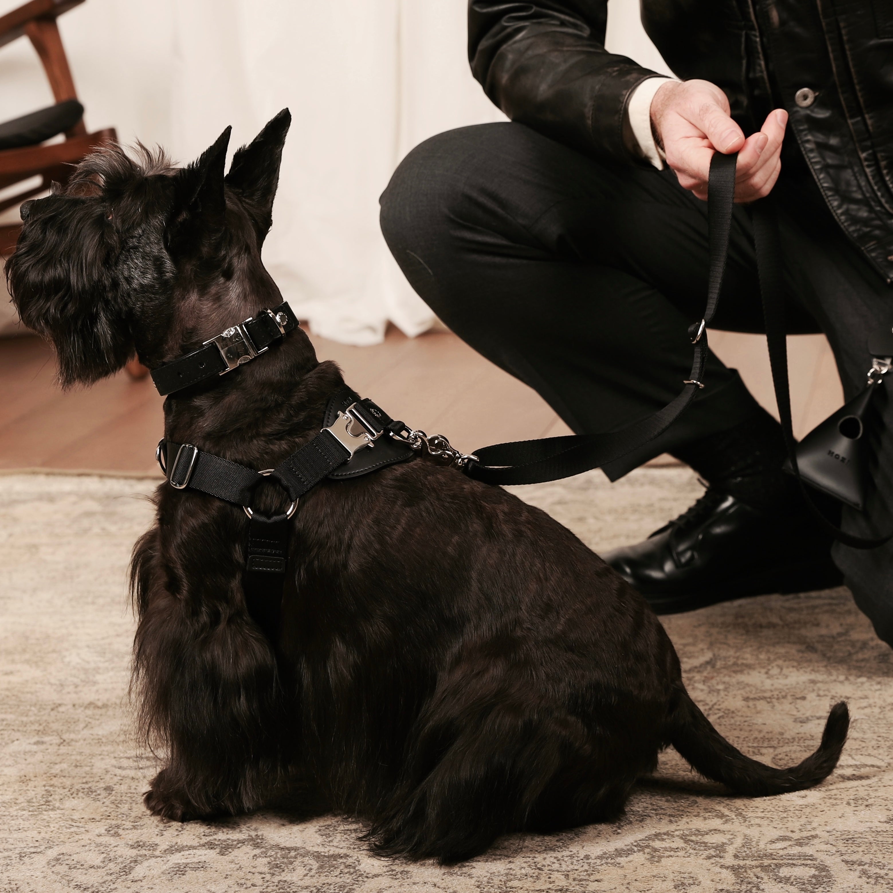 Horsebit Harness_BLACK