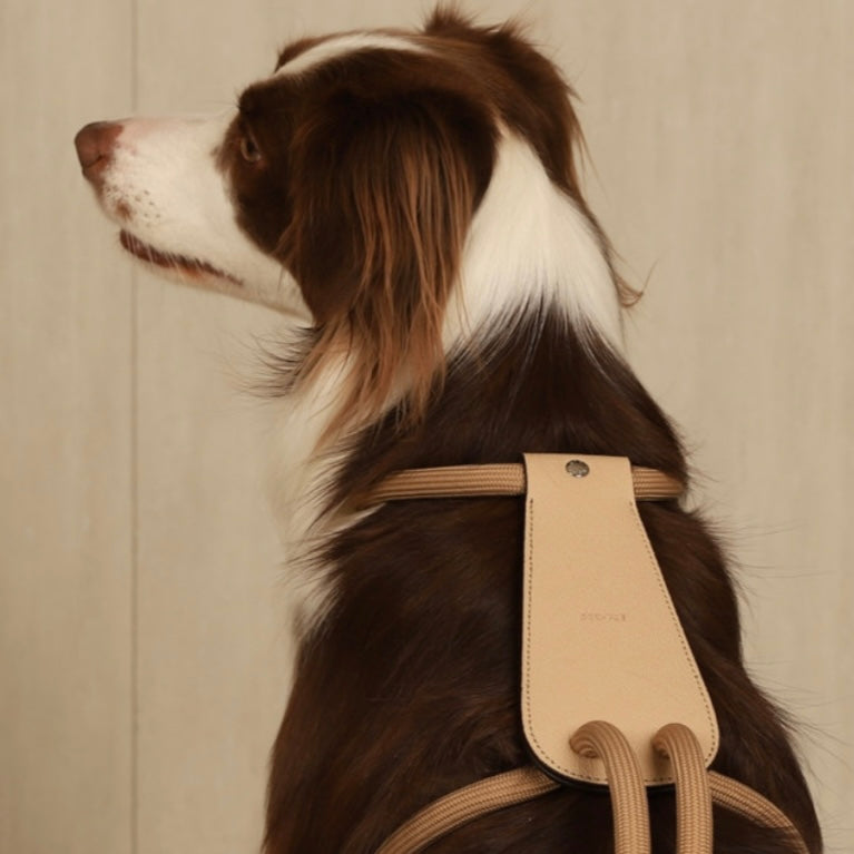 Essential Harness_BEIGE