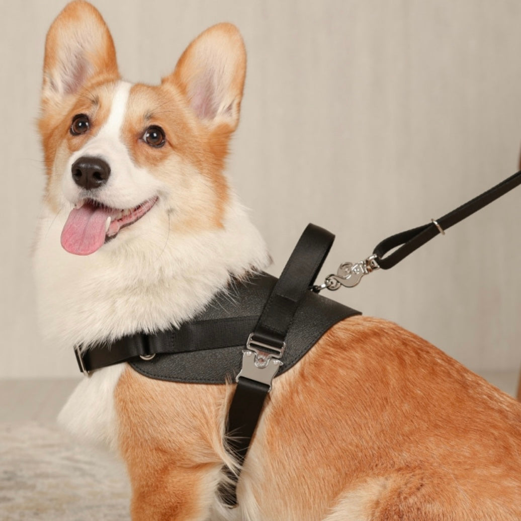 Saddle Harness_BLACK