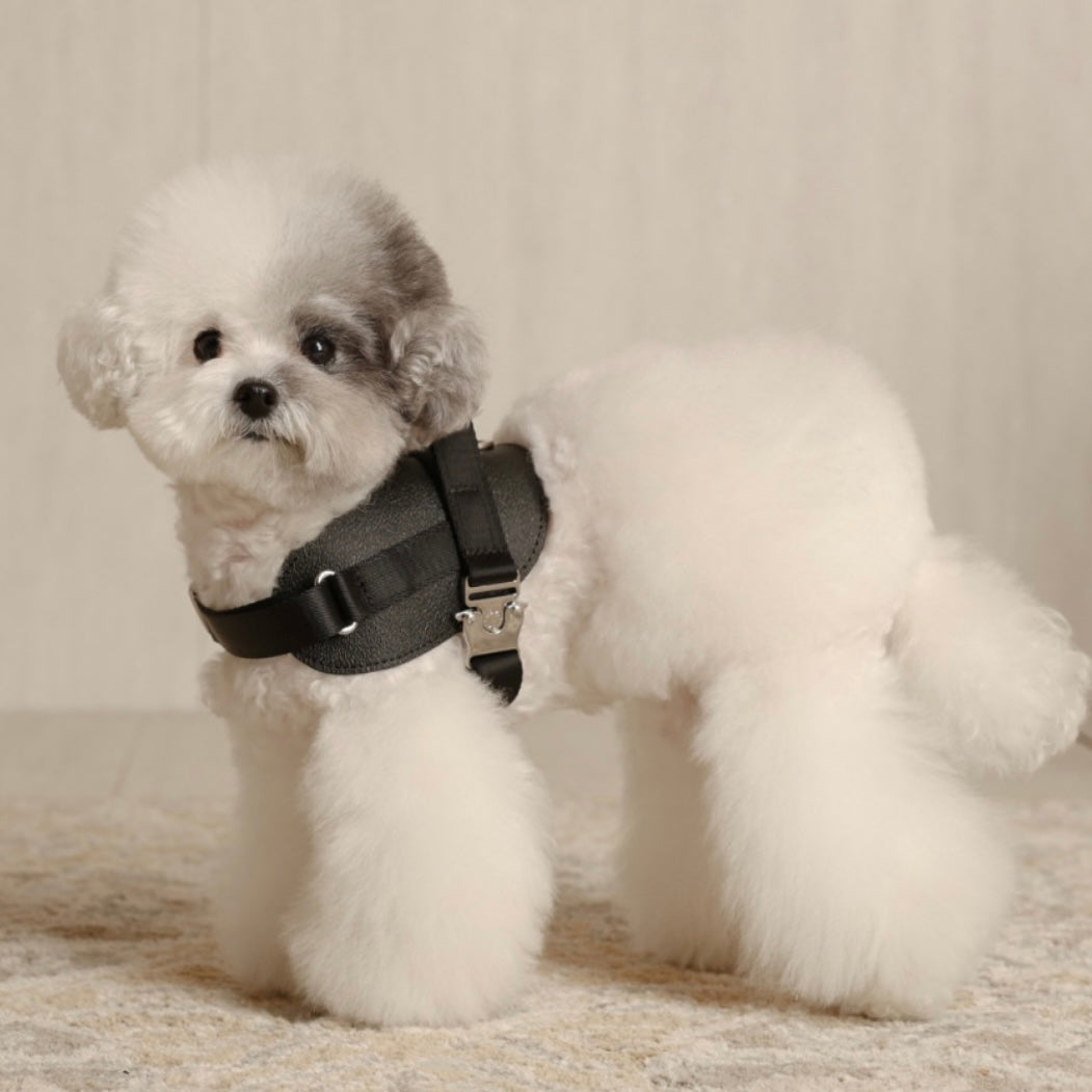 Saddle Harness_BLACK