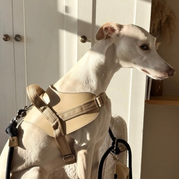 Saddle Harness_BEIGE