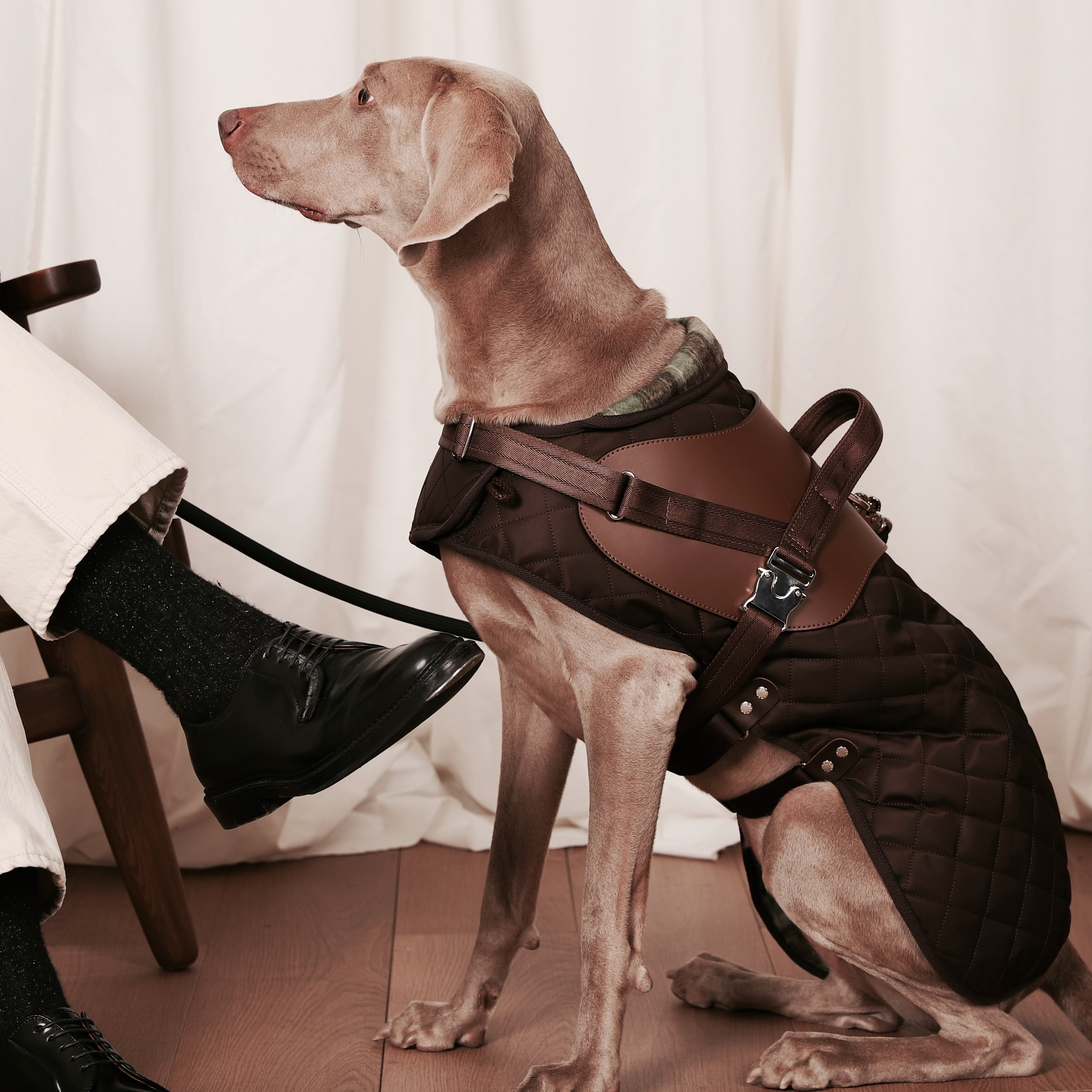 Saddle Harness_MOCHA