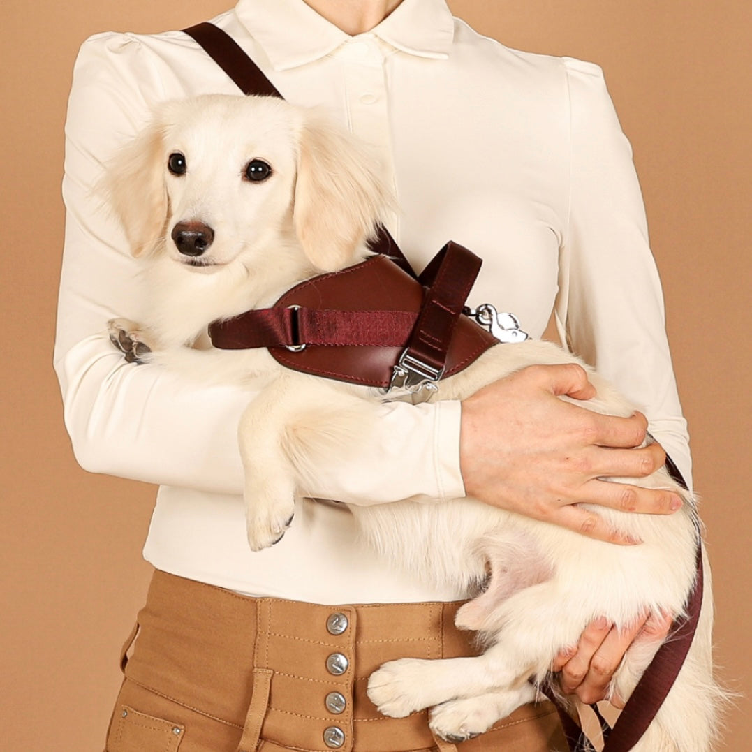 Saddle Harness_BURGUNDY