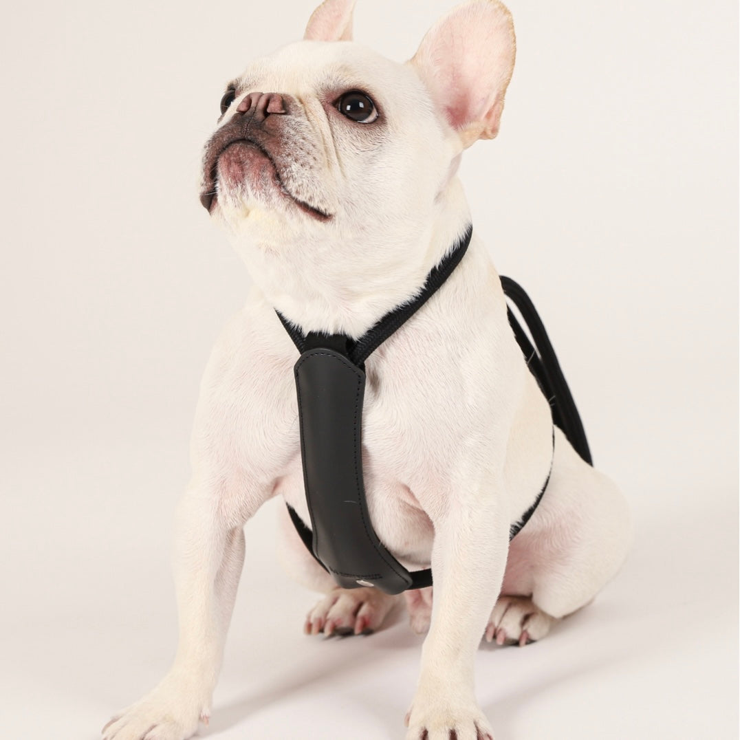 Essential Harness_BLACK