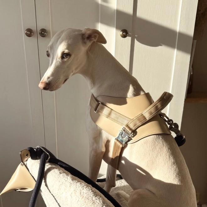 Saddle Harness_BEIGE