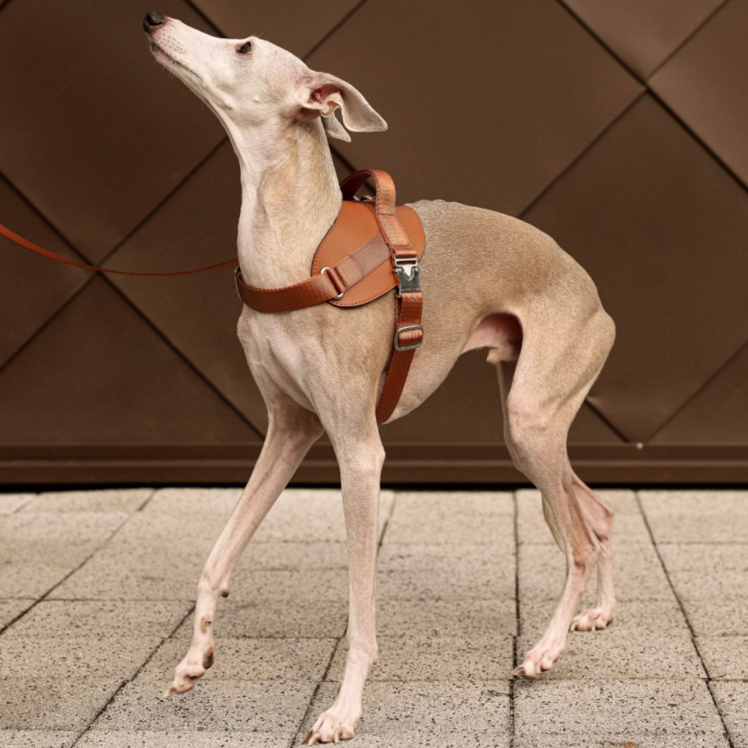 Saddle Harness_CAMEL