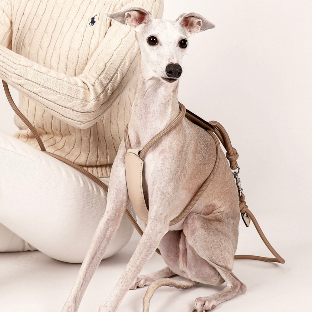 Essential Harness_BEIGE