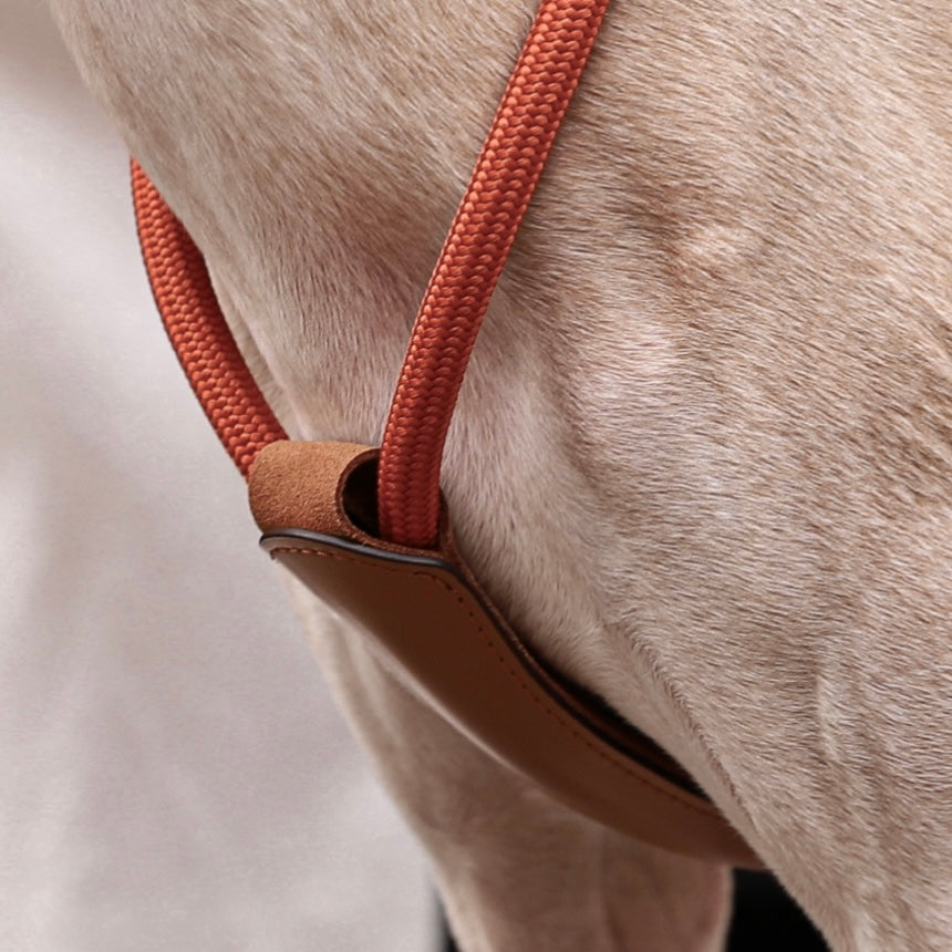 Essential Harness_ORANGE