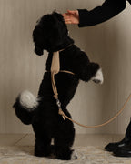 Essential Harness BEIGE
