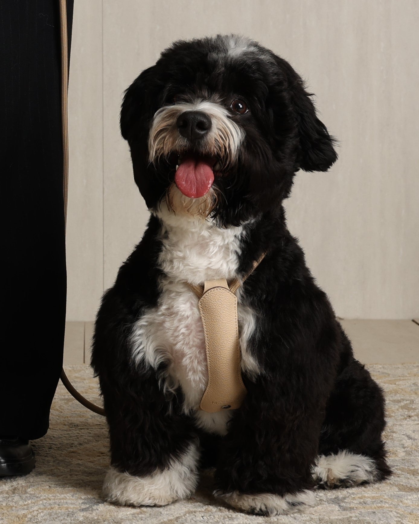 Essential Harness BEIGE