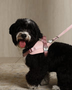 Saddle Harness PINK