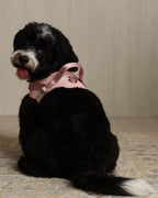 Saddle Harness PINK