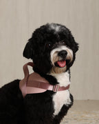 Saddle Harness PINK