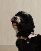 Horsebit Harness PINK