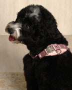 Horsebit Harness PINK