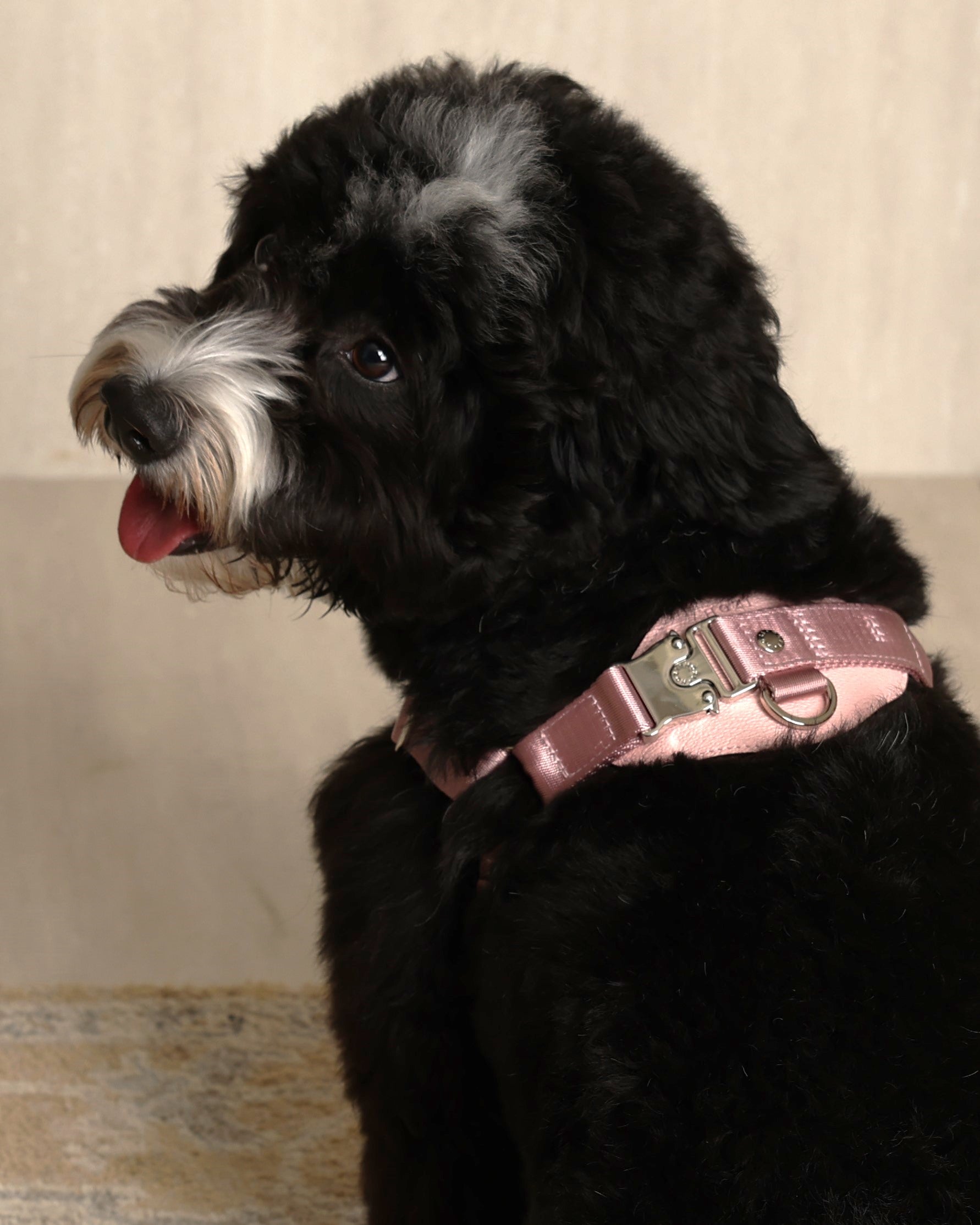 Horsebit Harness PINK