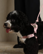 Horsebit Harness PINK