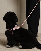 Horsebit Harness PINK