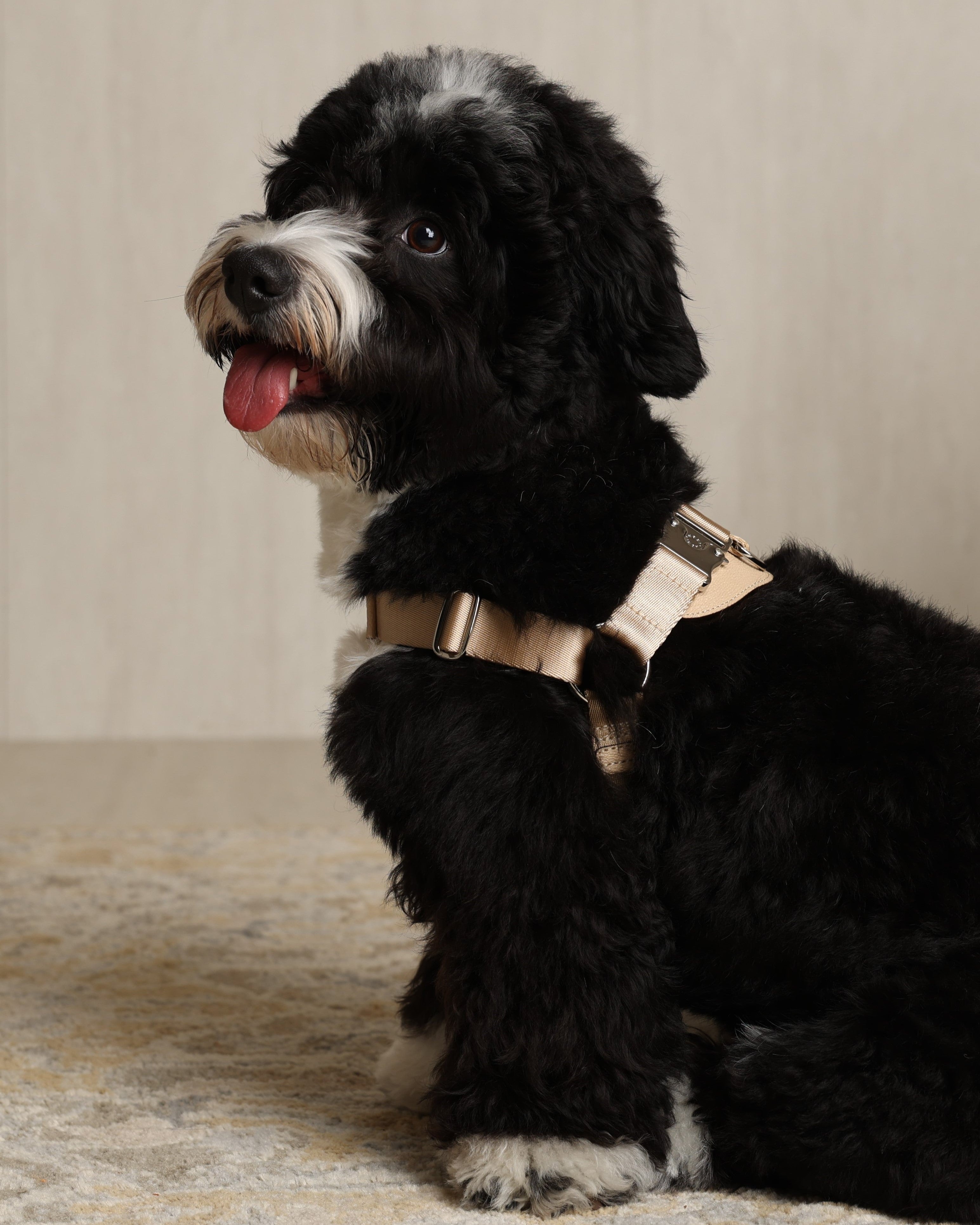 Horsebit Harness BEIGE