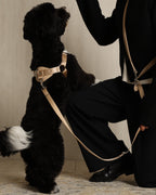 Horsebit Harness BEIGE