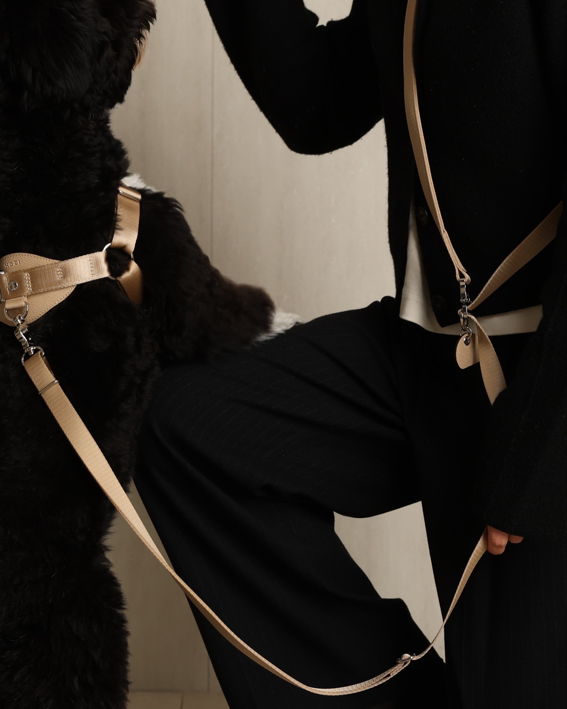 Saddle Hands-Free Lead_BEIGE S
