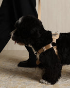Horsebit Harness BEIGE