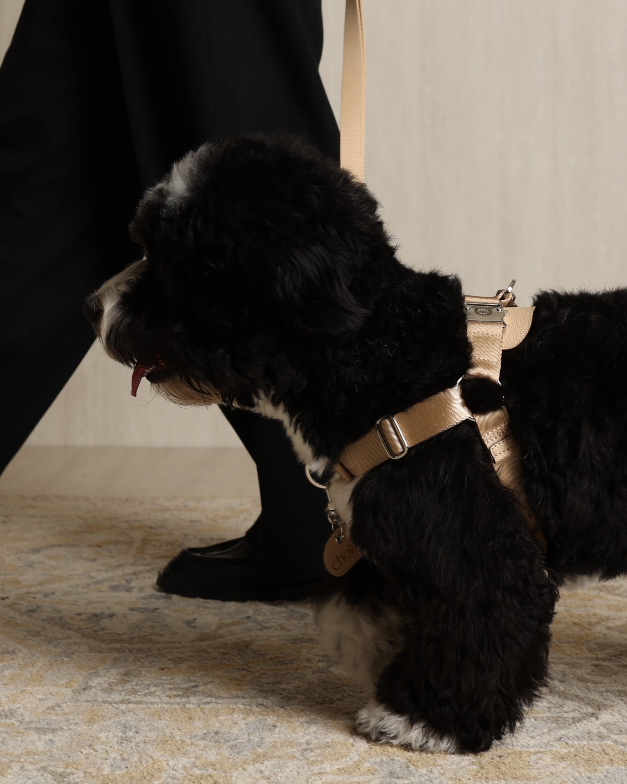 Horsebit Harness BEIGE