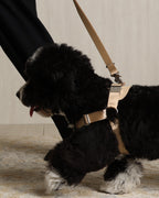 Horsebit Harness BEIGE