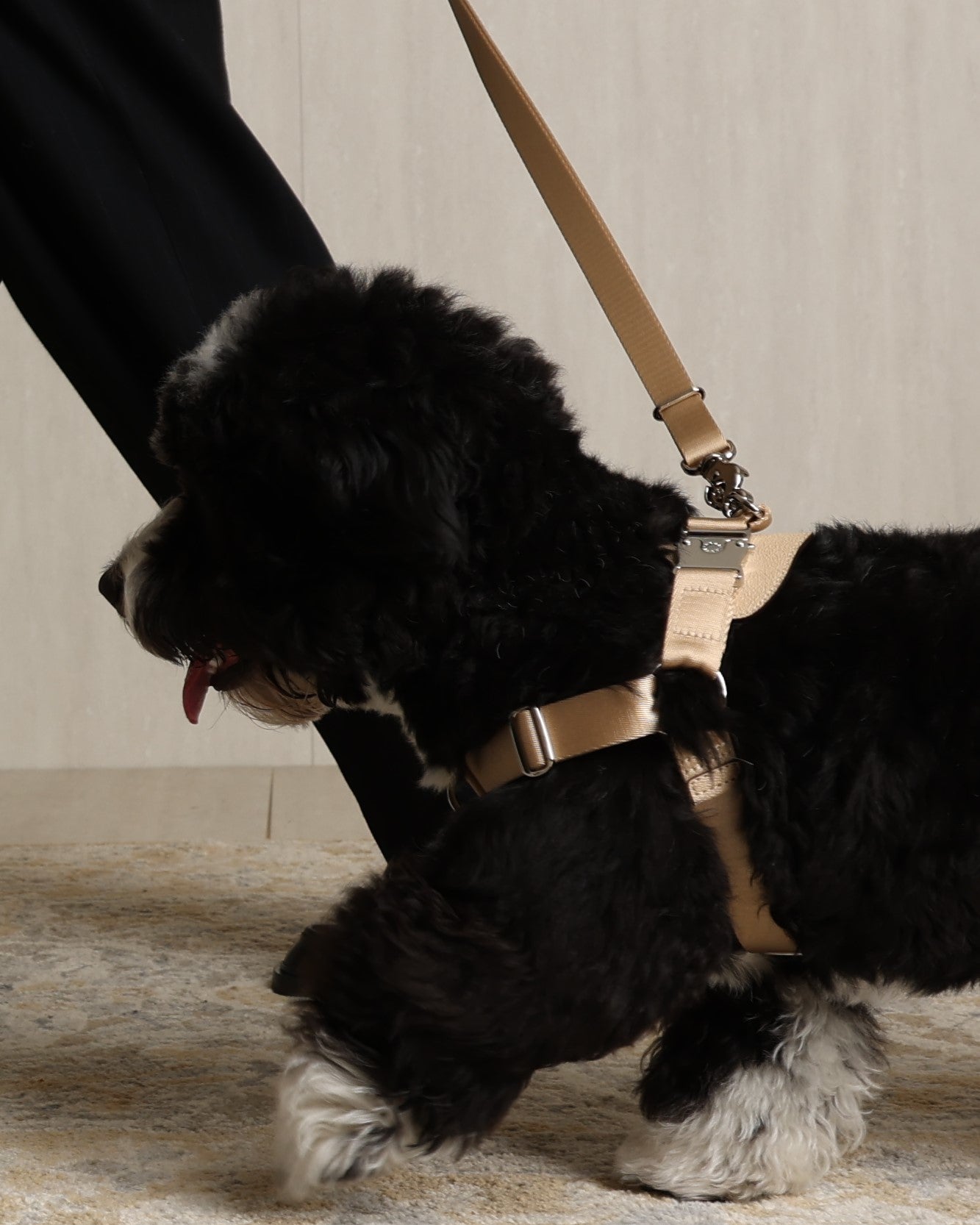Horsebit Harness BEIGE
