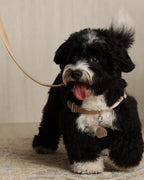 Horsebit Harness BEIGE