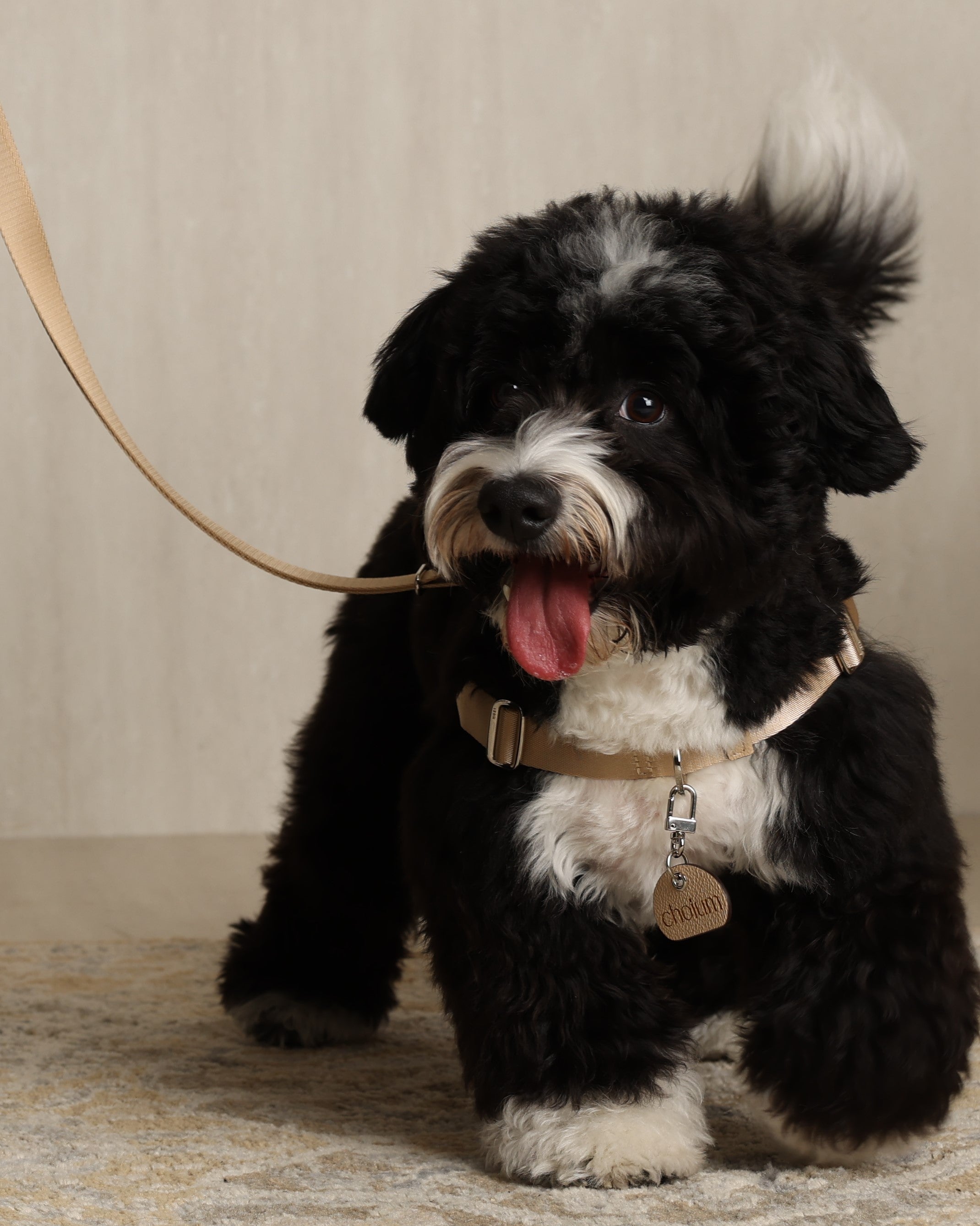 Horsebit Harness BEIGE